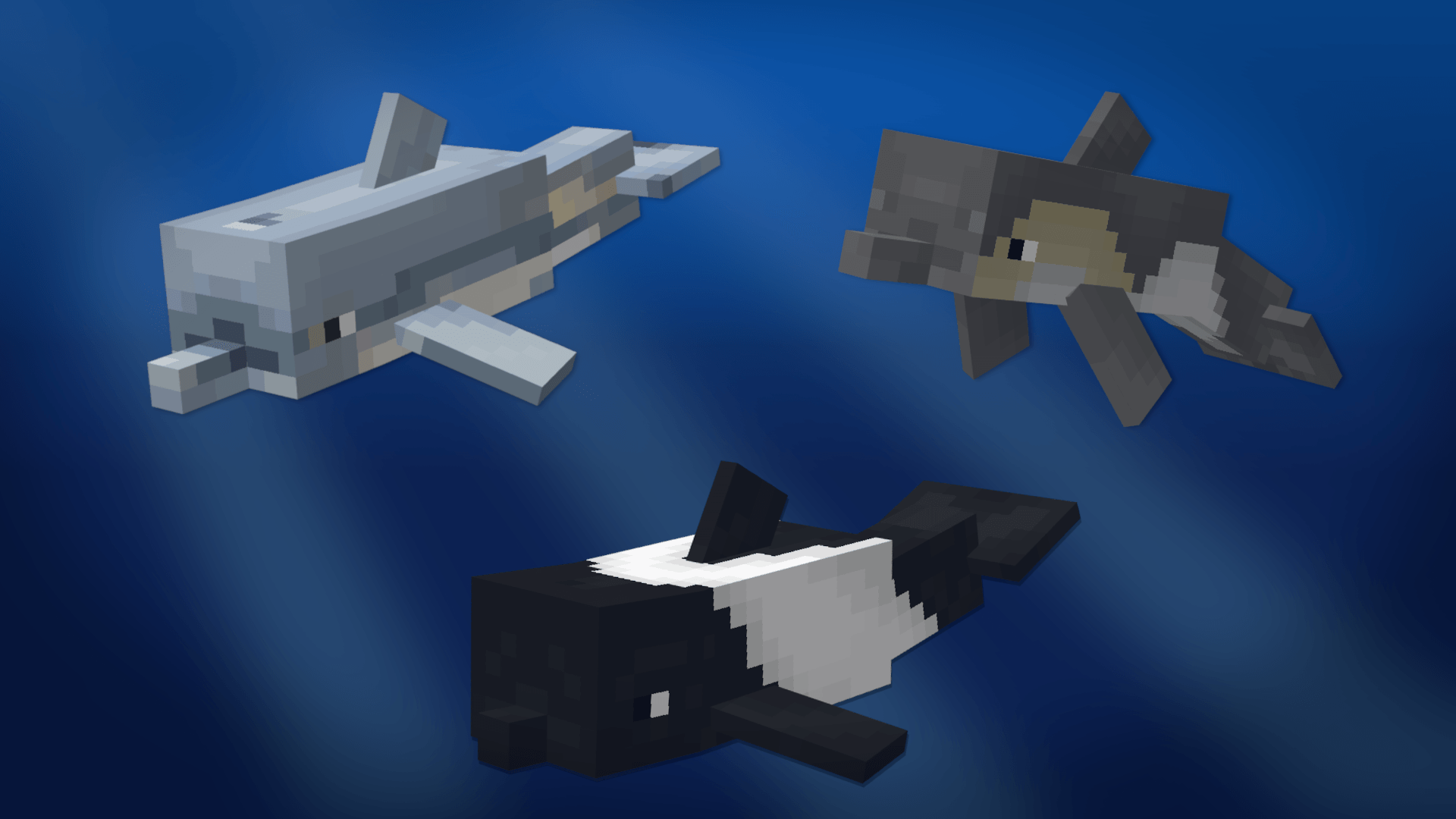 Divin' Dolphins — screenshot 8