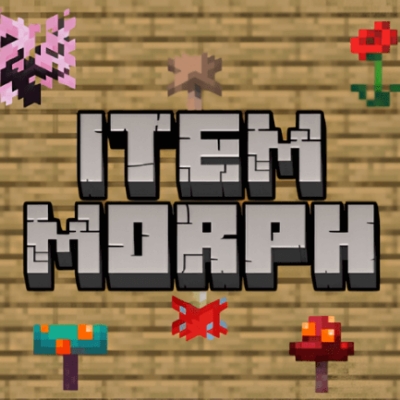 Item Morph Addon