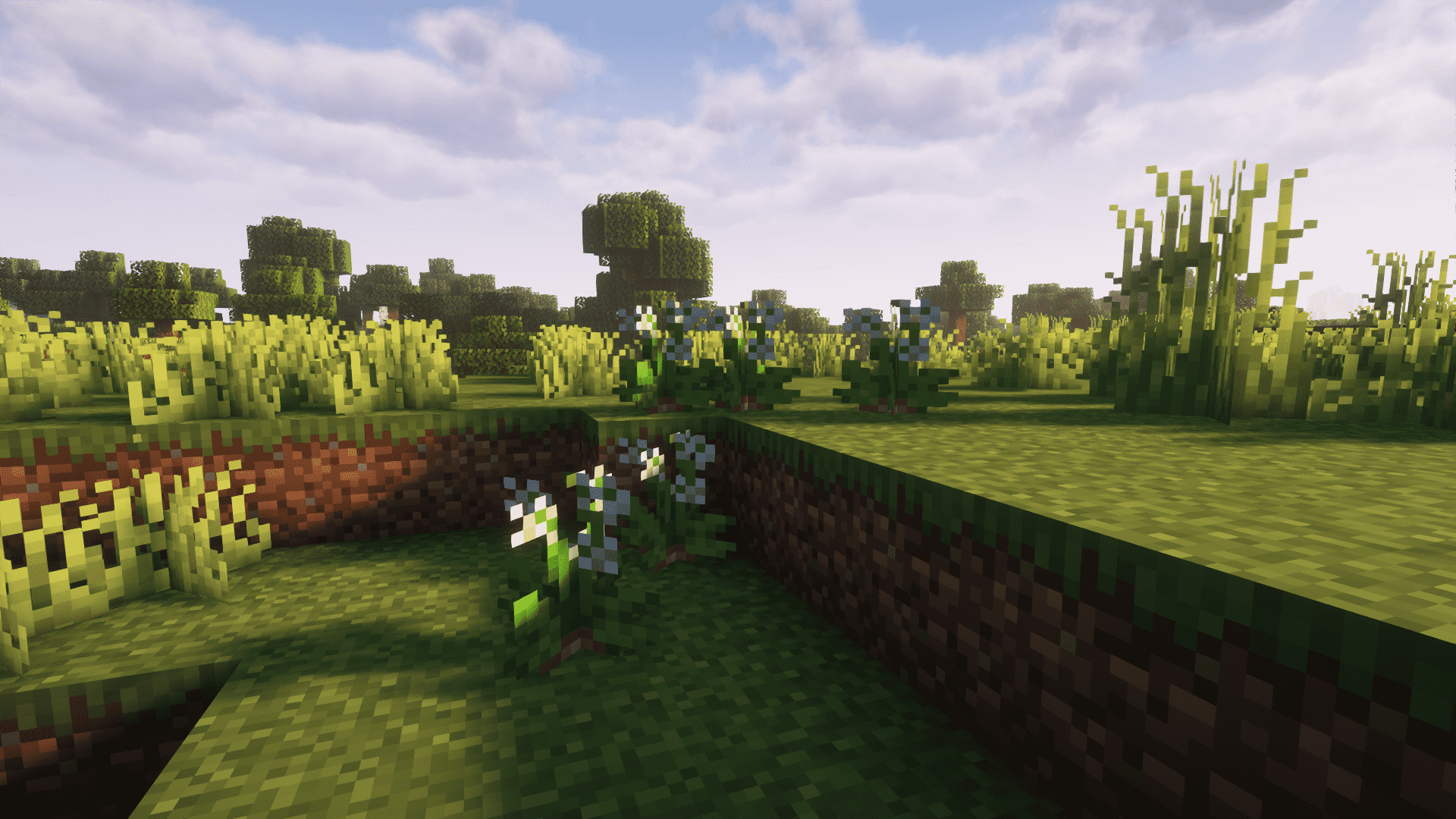 Spanish Delight (Unofficial) — screenshot 5