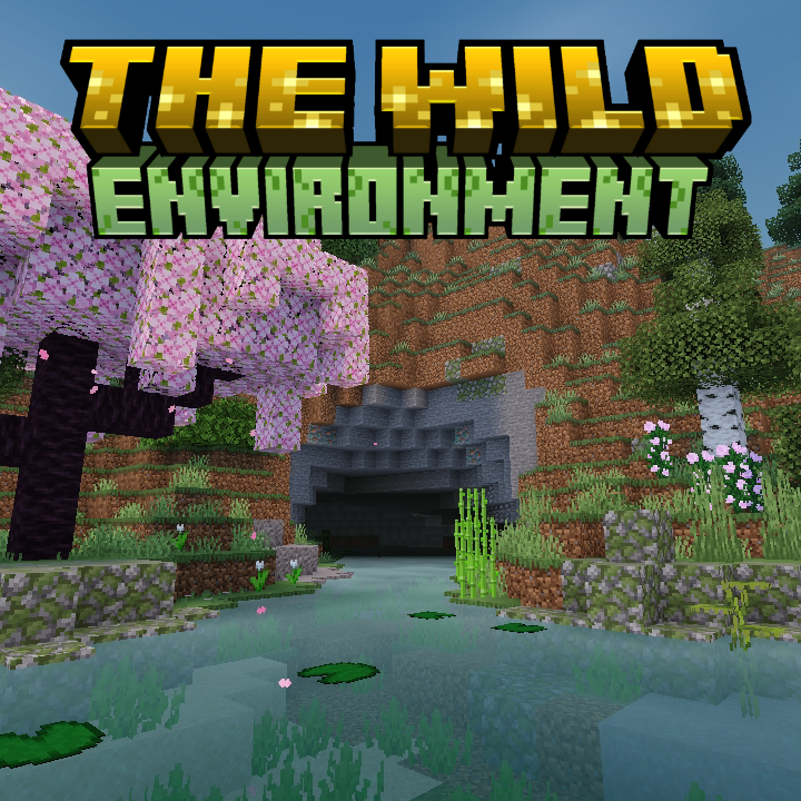 The Wild Environment