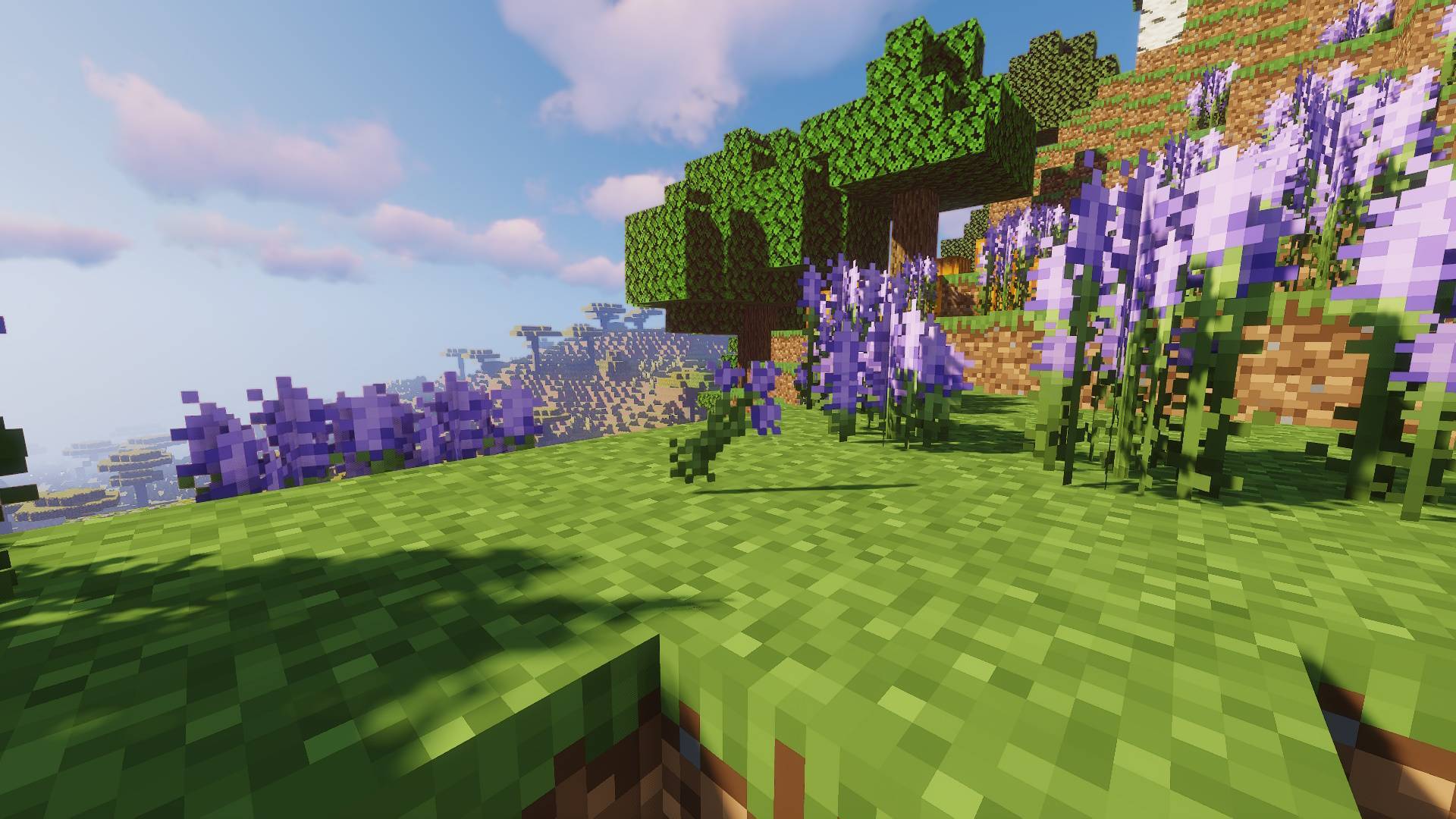 The Lavender Update (Unofficial) — screenshot 2