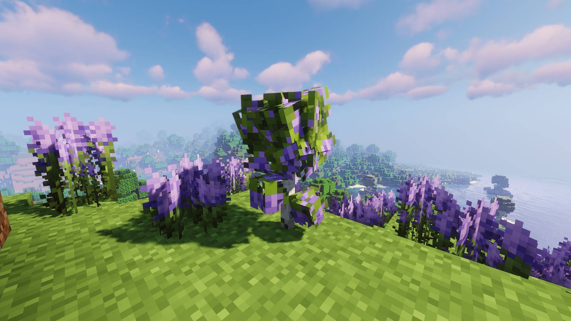 The Lavender Update (Unofficial) — screenshot 3