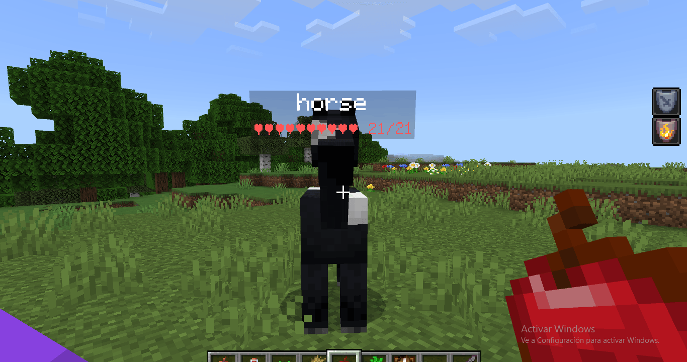 📜Heart Display Nametags for Players and Mobs [Addon Script] — screenshot 7