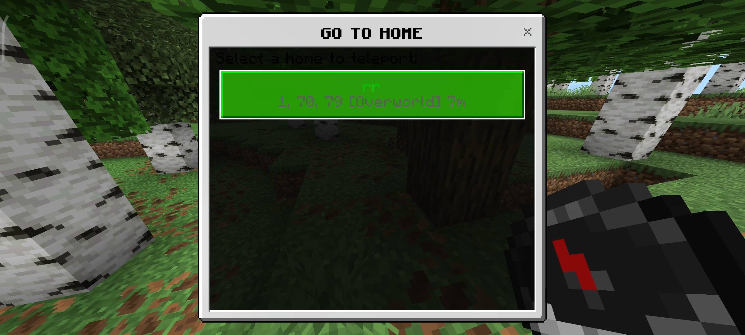 Instant Warp Addon: Homes, Public Warps & Menus — screenshot 5
