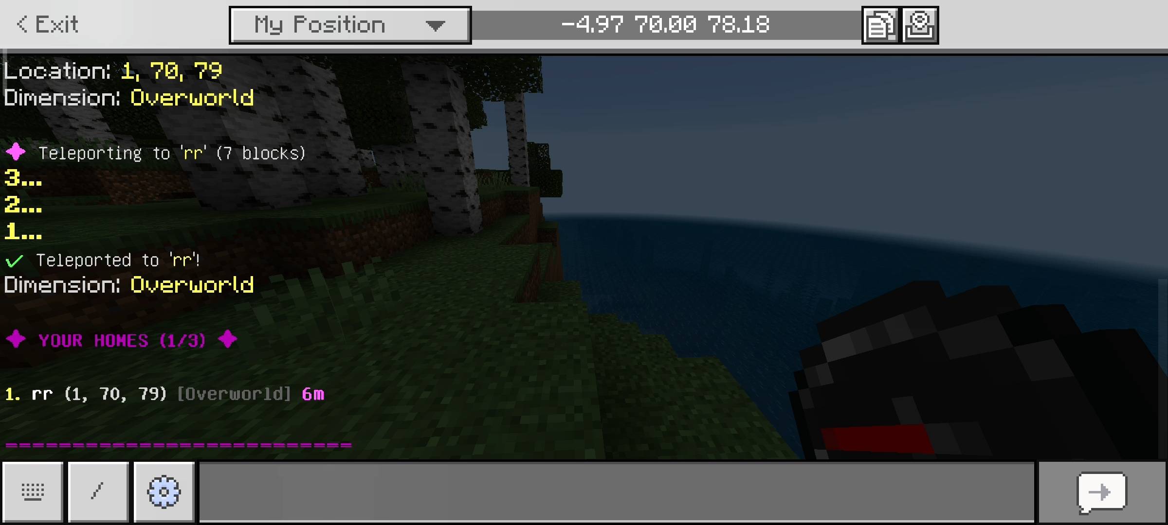 Instant Warp Addon: Homes, Public Warps & Menus — screenshot 7
