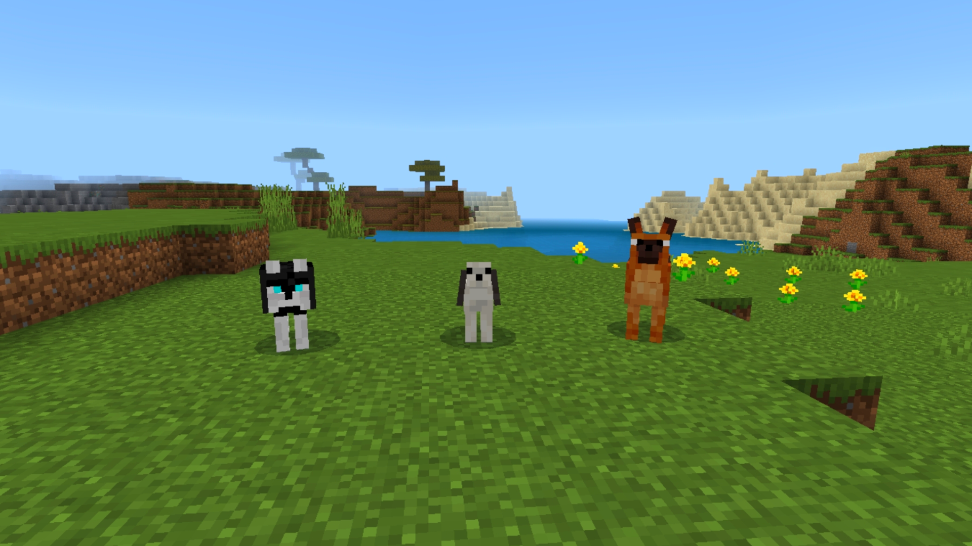 (discontinued) More Animals (Bedrock Edition) — screenshot 2