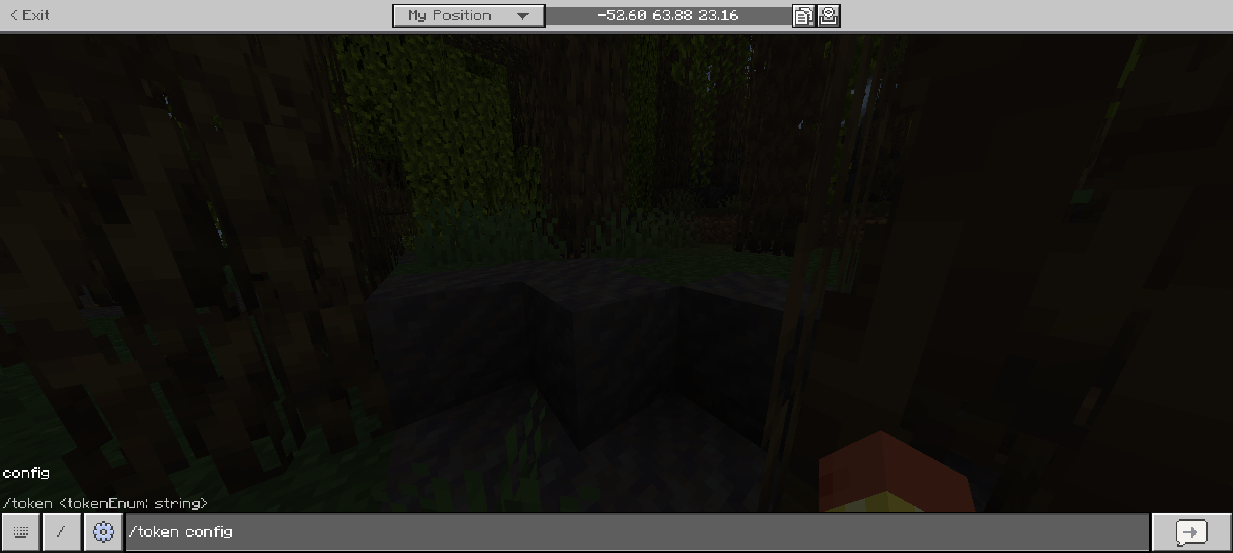 Token smp — screenshot 4