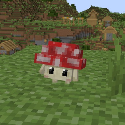 Fungi!