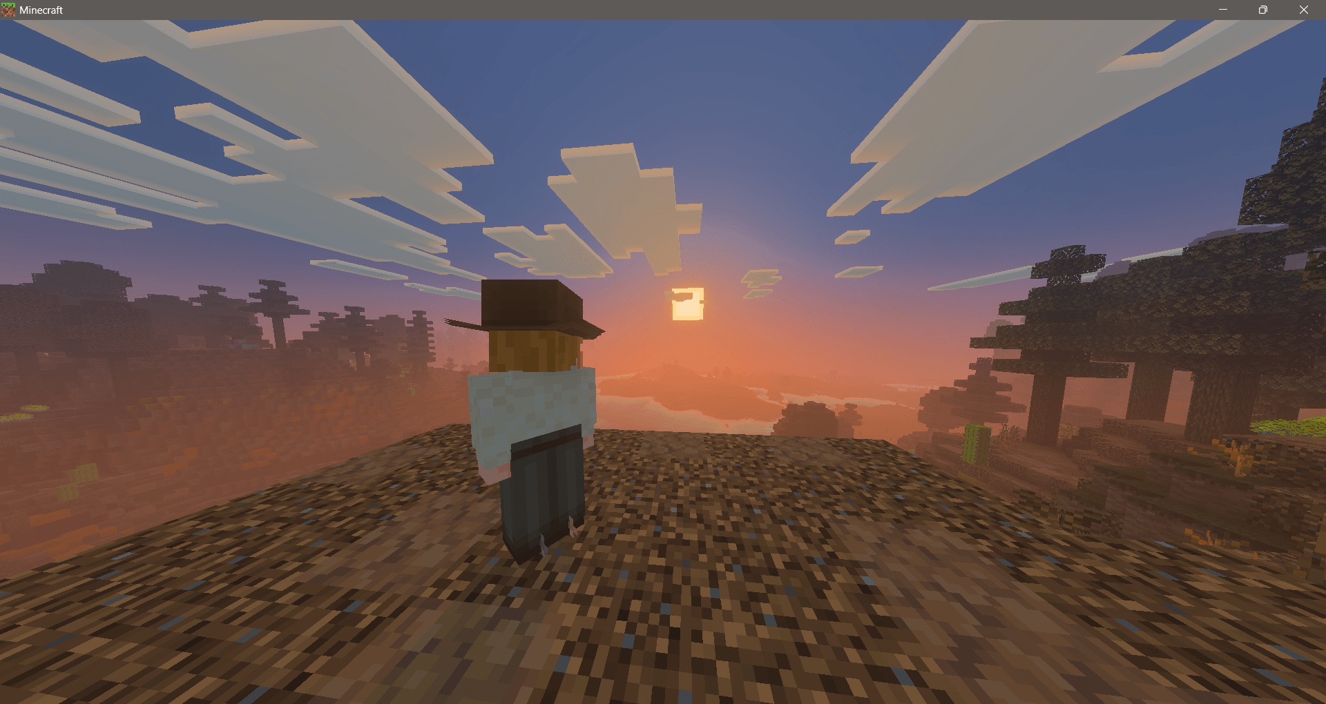Western Wardrobe — screenshot 2
