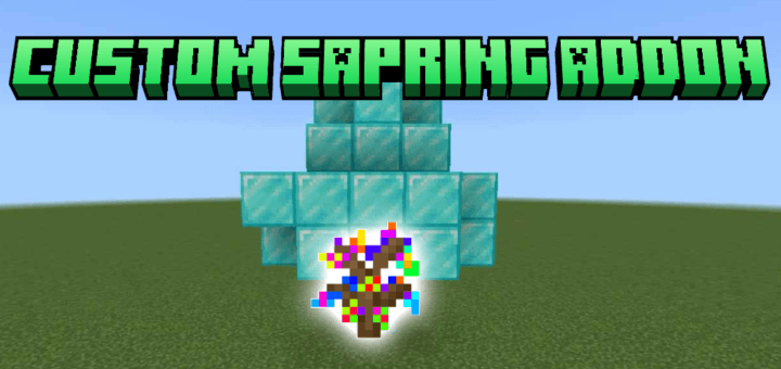 Custom sapring — screenshot 1