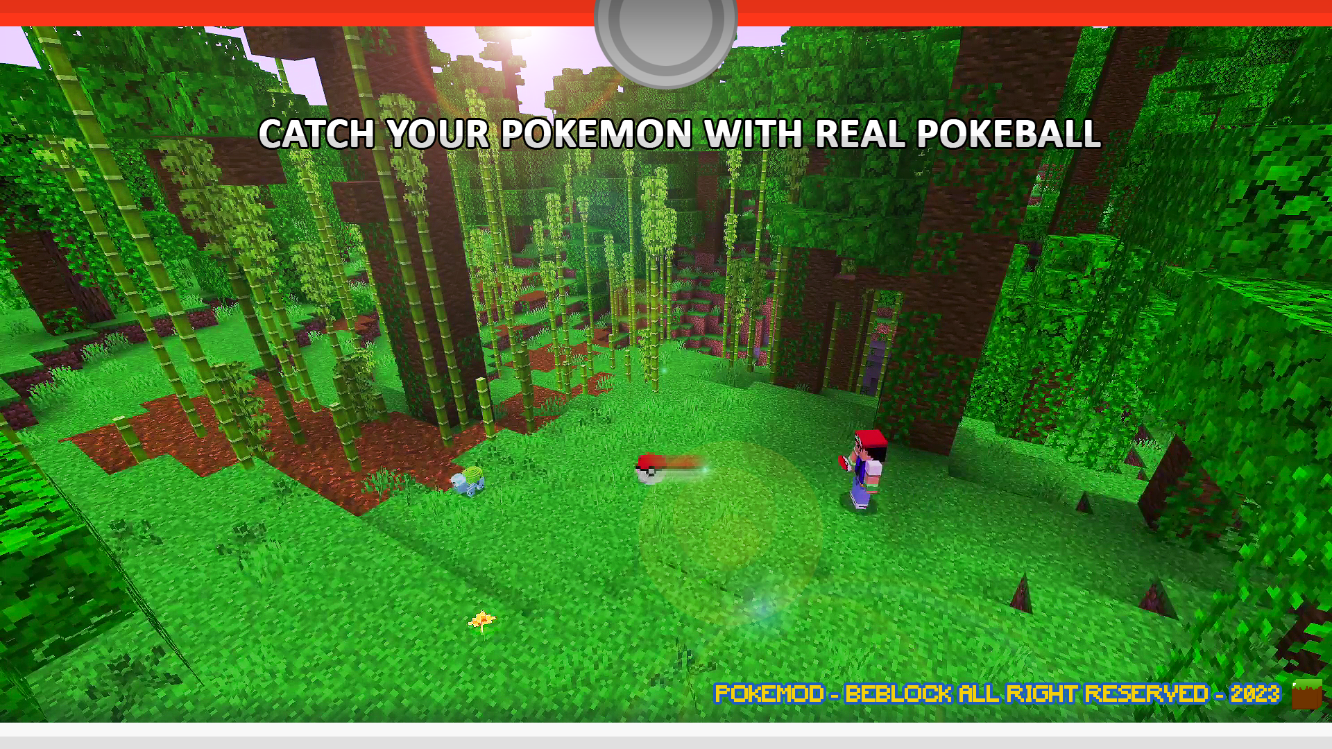 Pokemod - Catch your Monster ! — screenshot 8