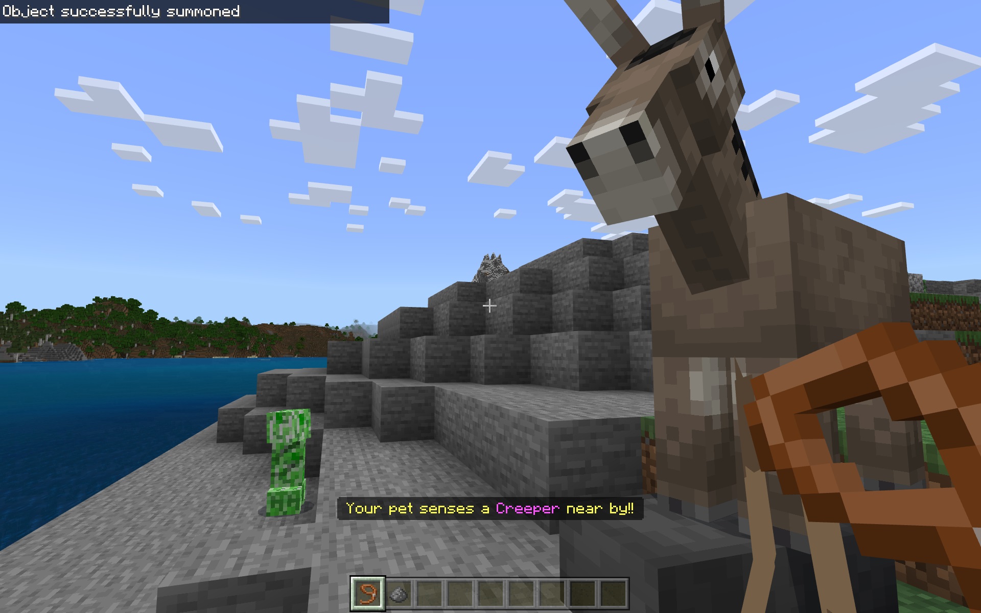 Trained Pets — screenshot 3