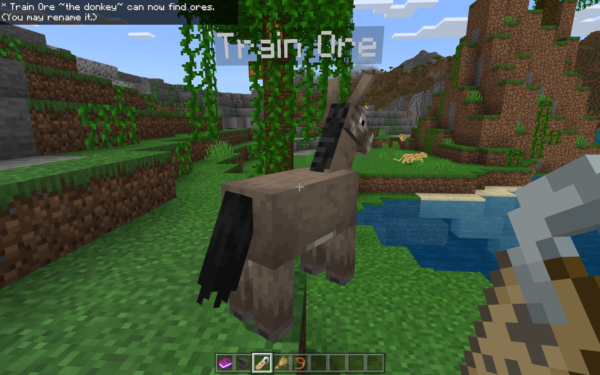 Trained Pets — screenshot 5