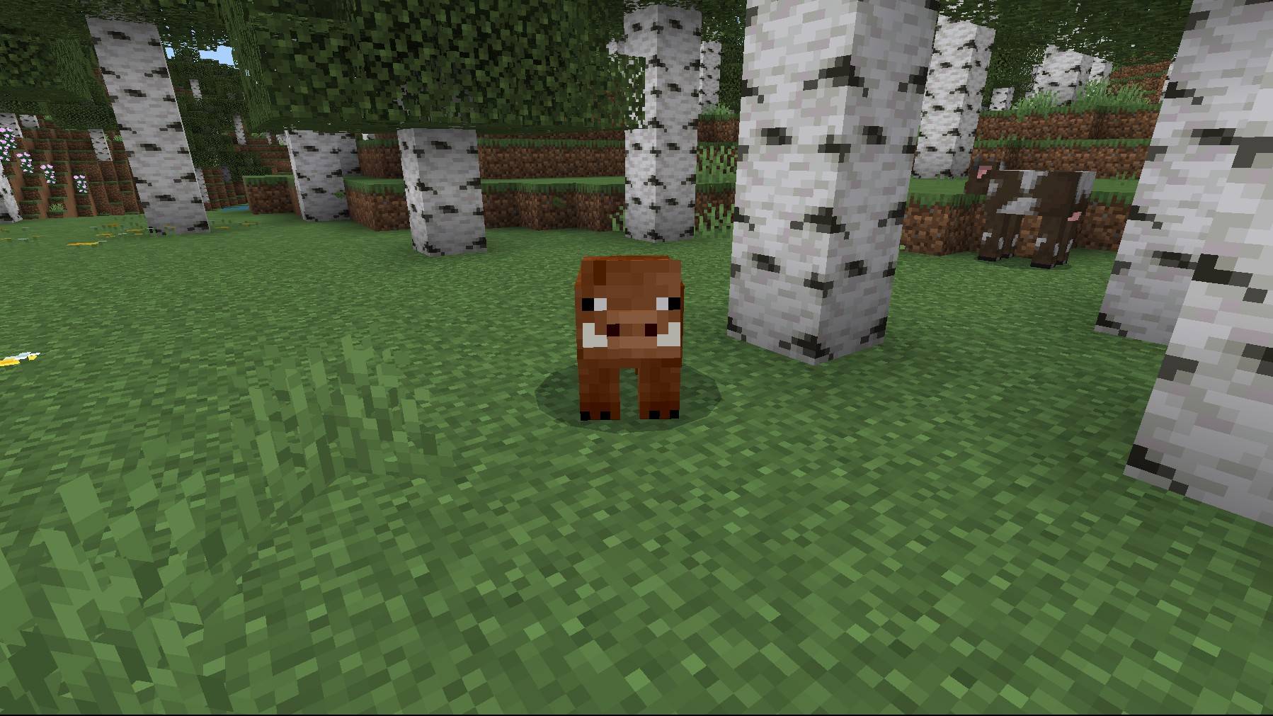 Survival+ Add-On v1.00 — screenshot 3
