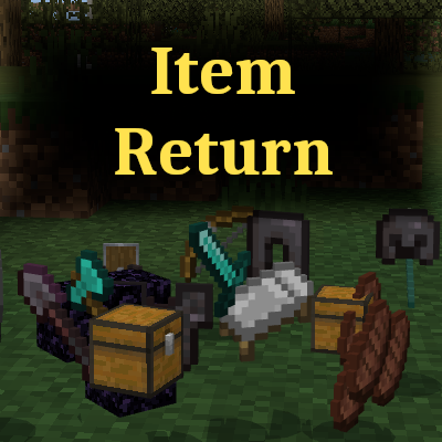 Item Return