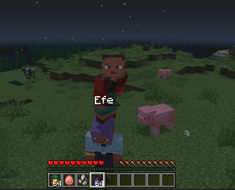 Stackable Mobs (No Vanilla Entity JSON) — screenshot 2