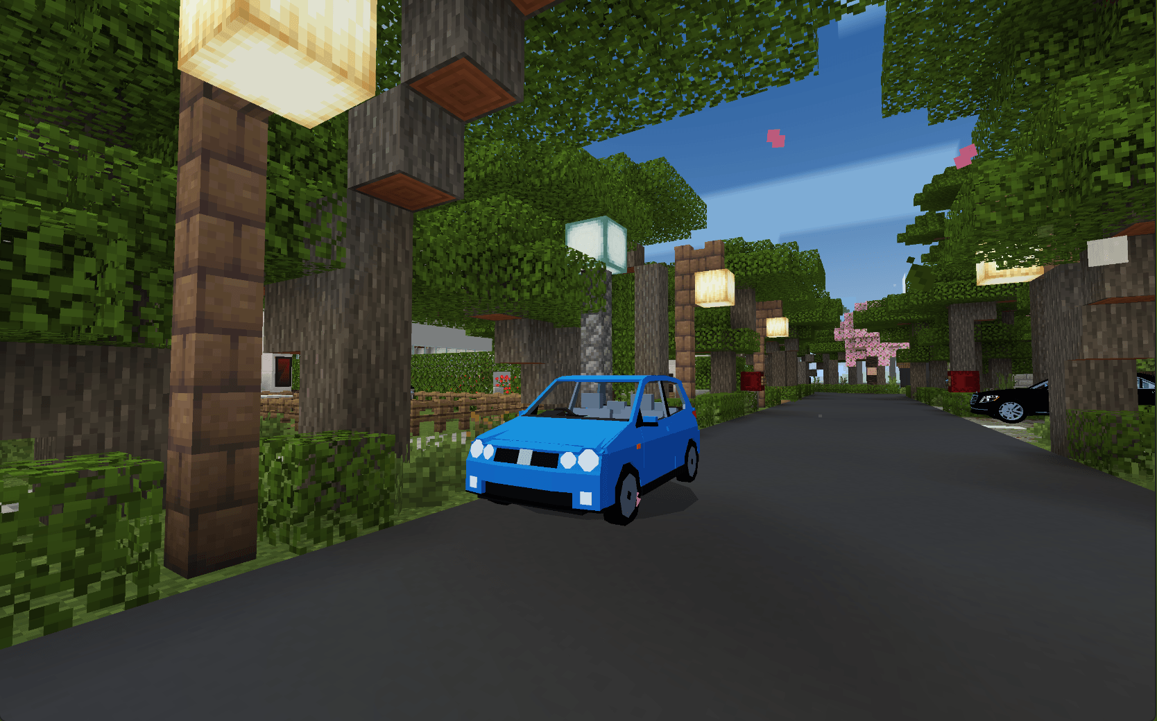 Polo - Simple Car Series — screenshot 2