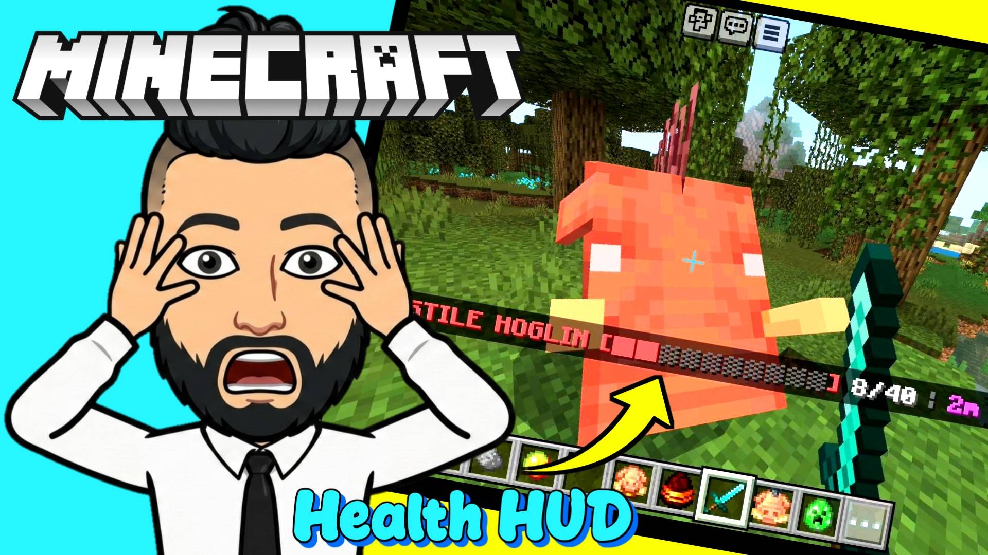 Health HUD Addon: Damage Numbers & Mob Health — screenshot 1