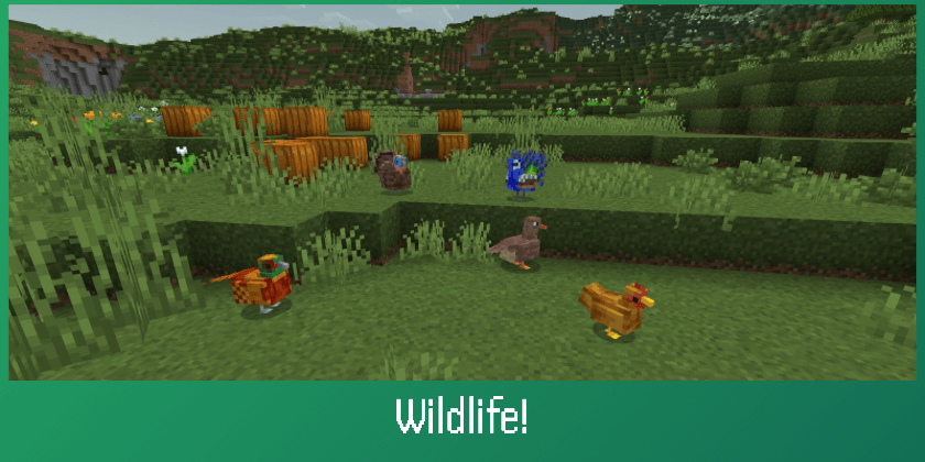 [Fire] AurorianCraft: Realistic Survival Addon — screenshot 5