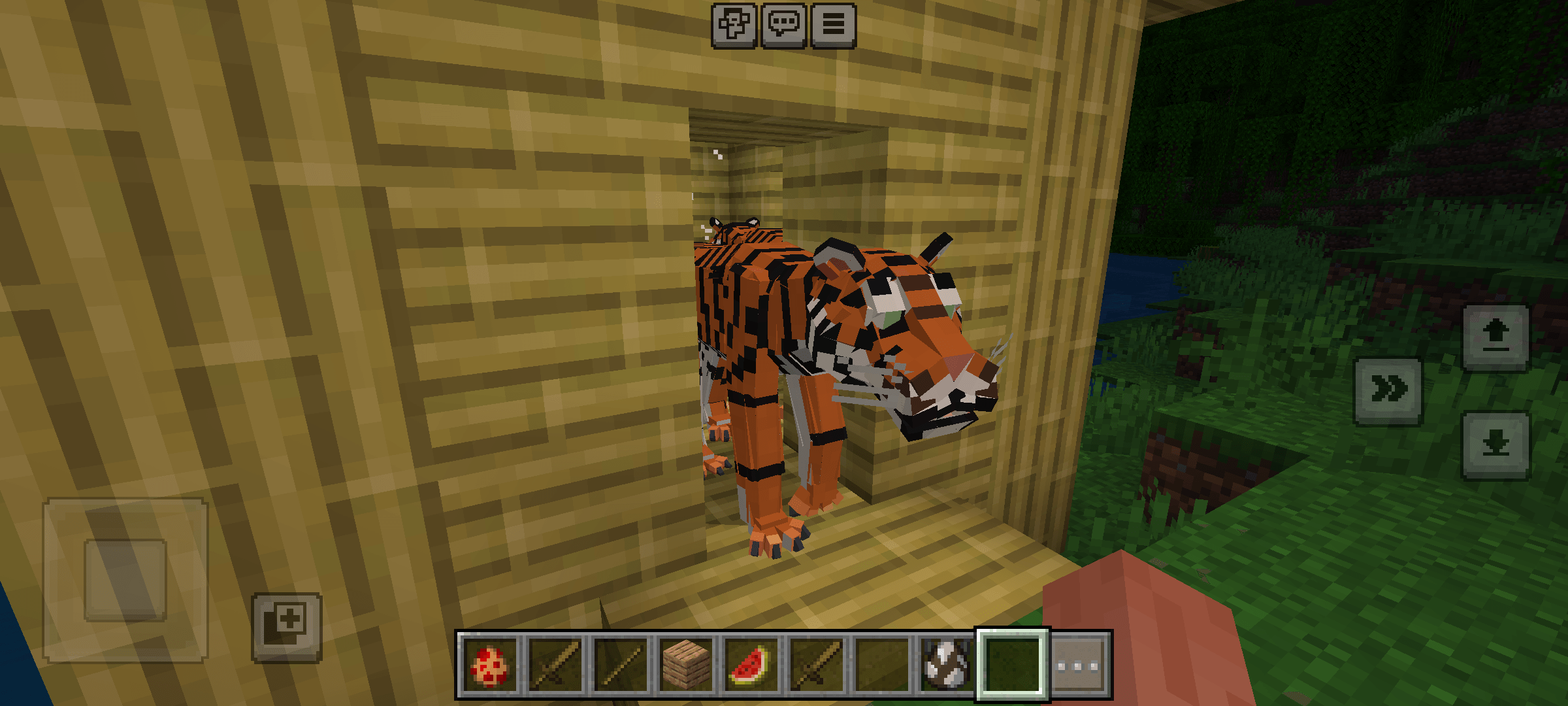 The More Animals Project — screenshot 5
