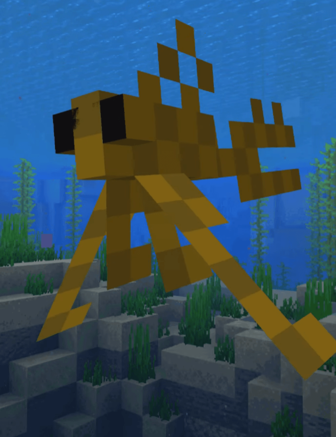 The More Animals Project — screenshot 6