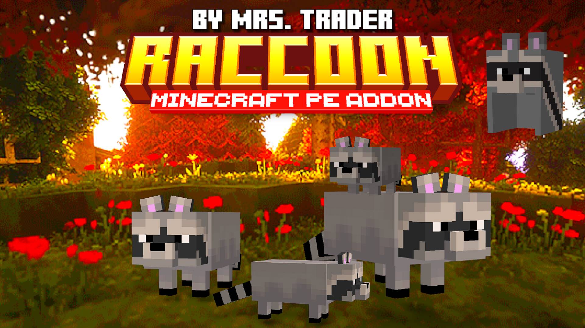 Raccoon's addon — screenshot 1