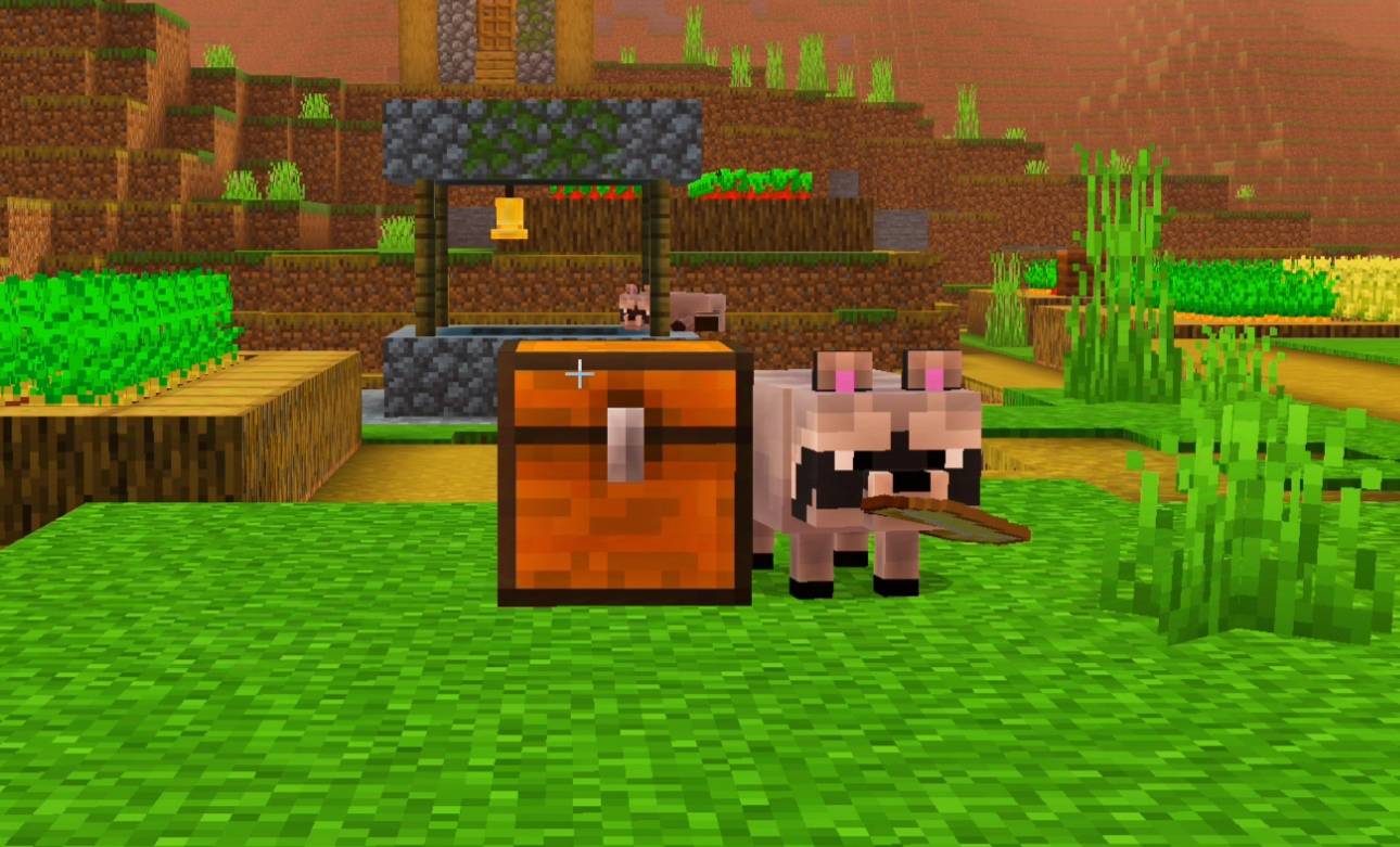 Raccoon's addon — screenshot 3