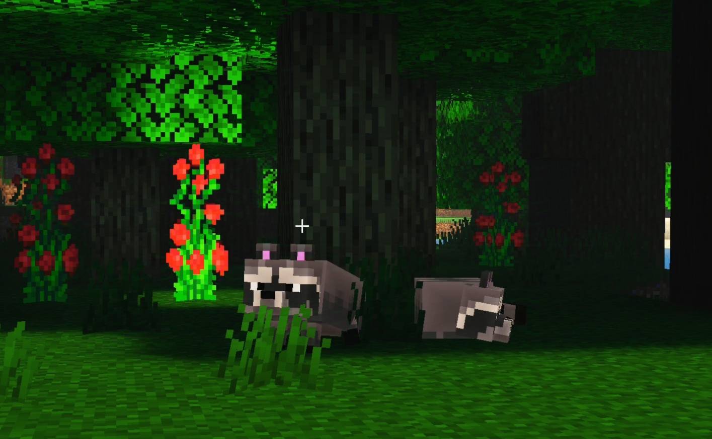 Raccoon's addon — screenshot 4