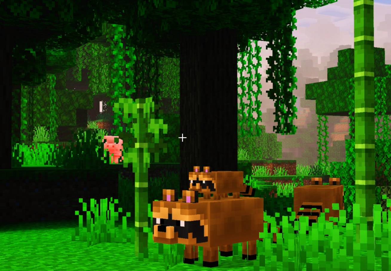 Raccoon's addon — screenshot 5