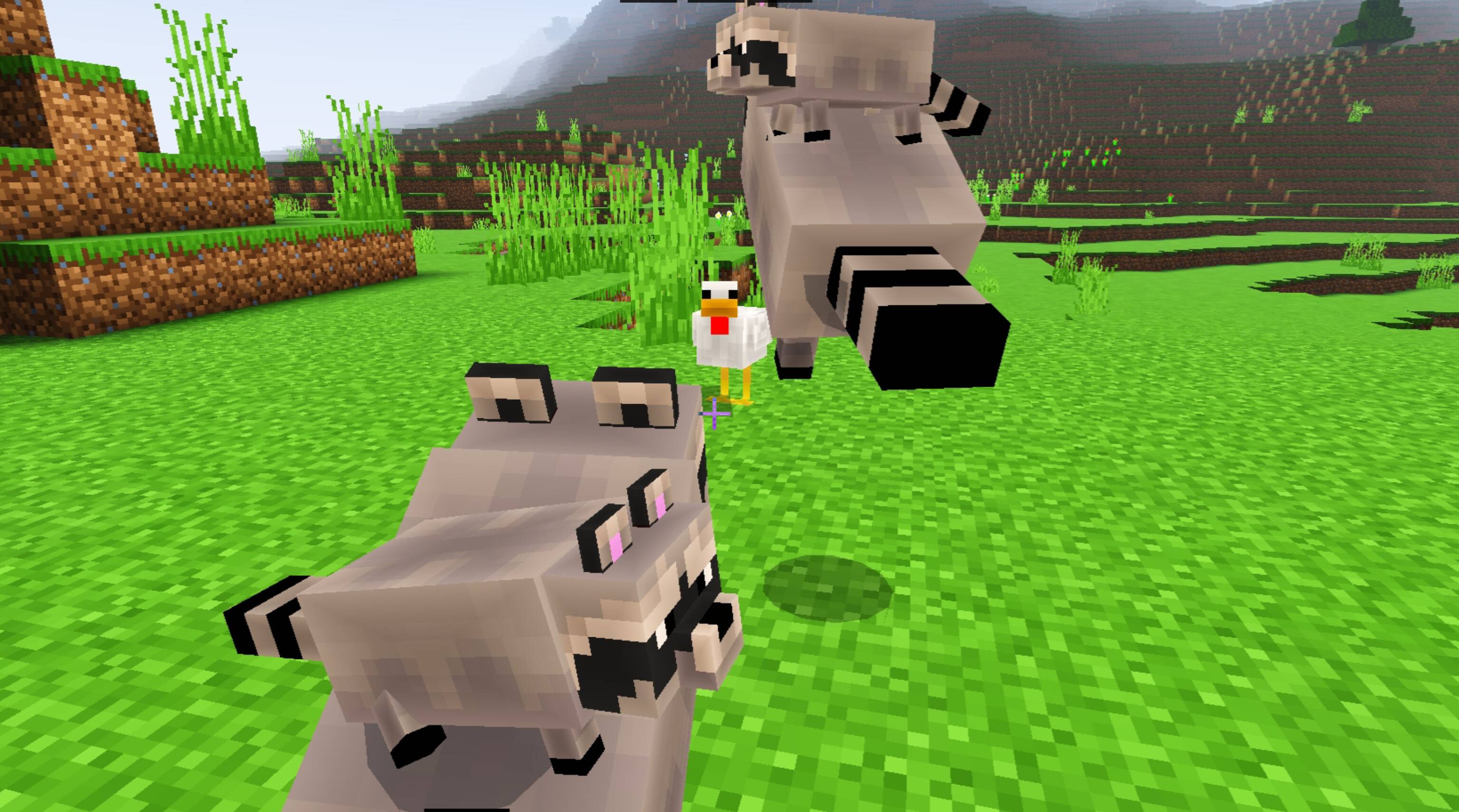Raccoon's addon — screenshot 7