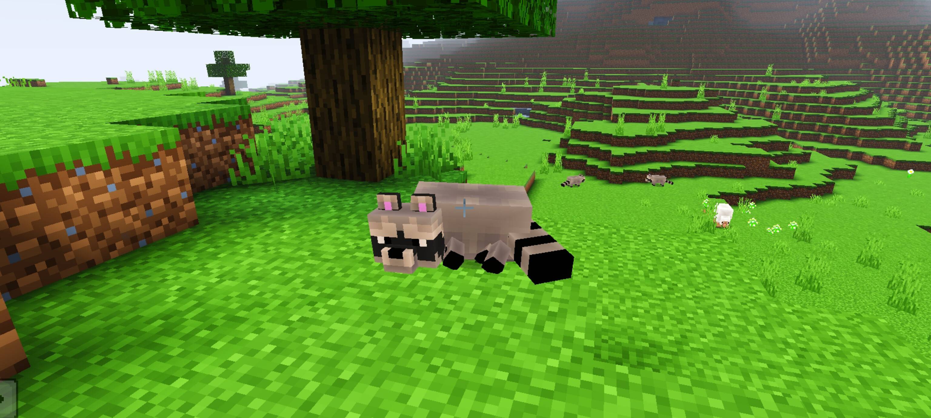 Raccoon's addon — screenshot 8