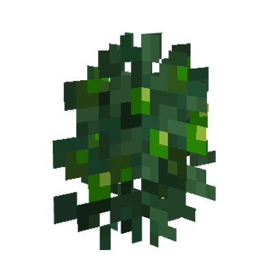 XP Expansion