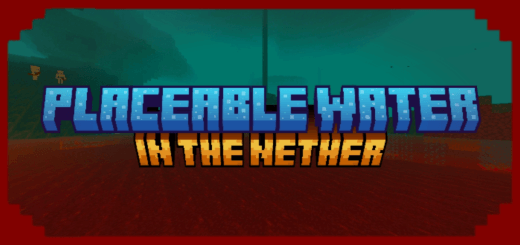 Placeable Water In The Nether — screenshot 1