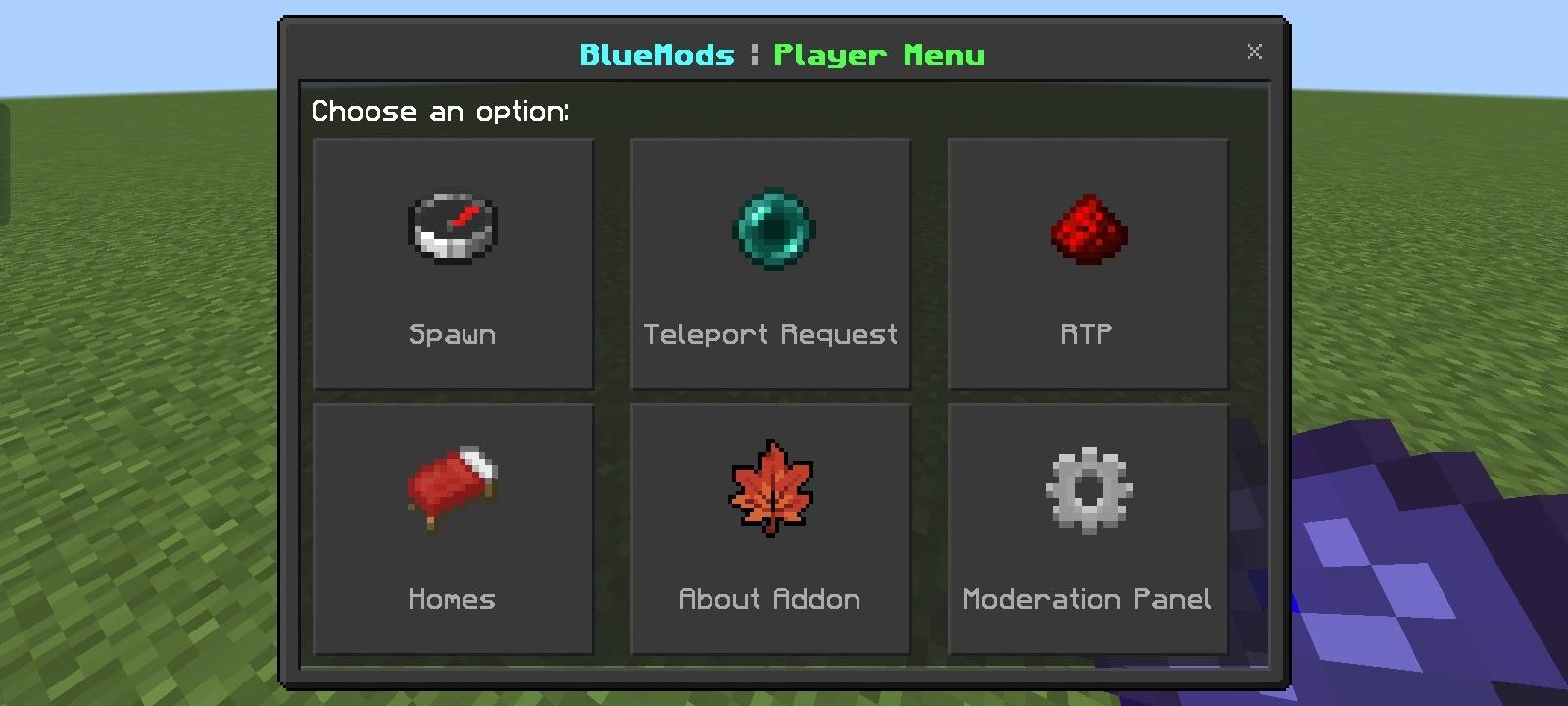 BlueMods AntiCheat: The Best Minecraft Bedrock AntiCheat (DISCONTINUED) — screenshot 3