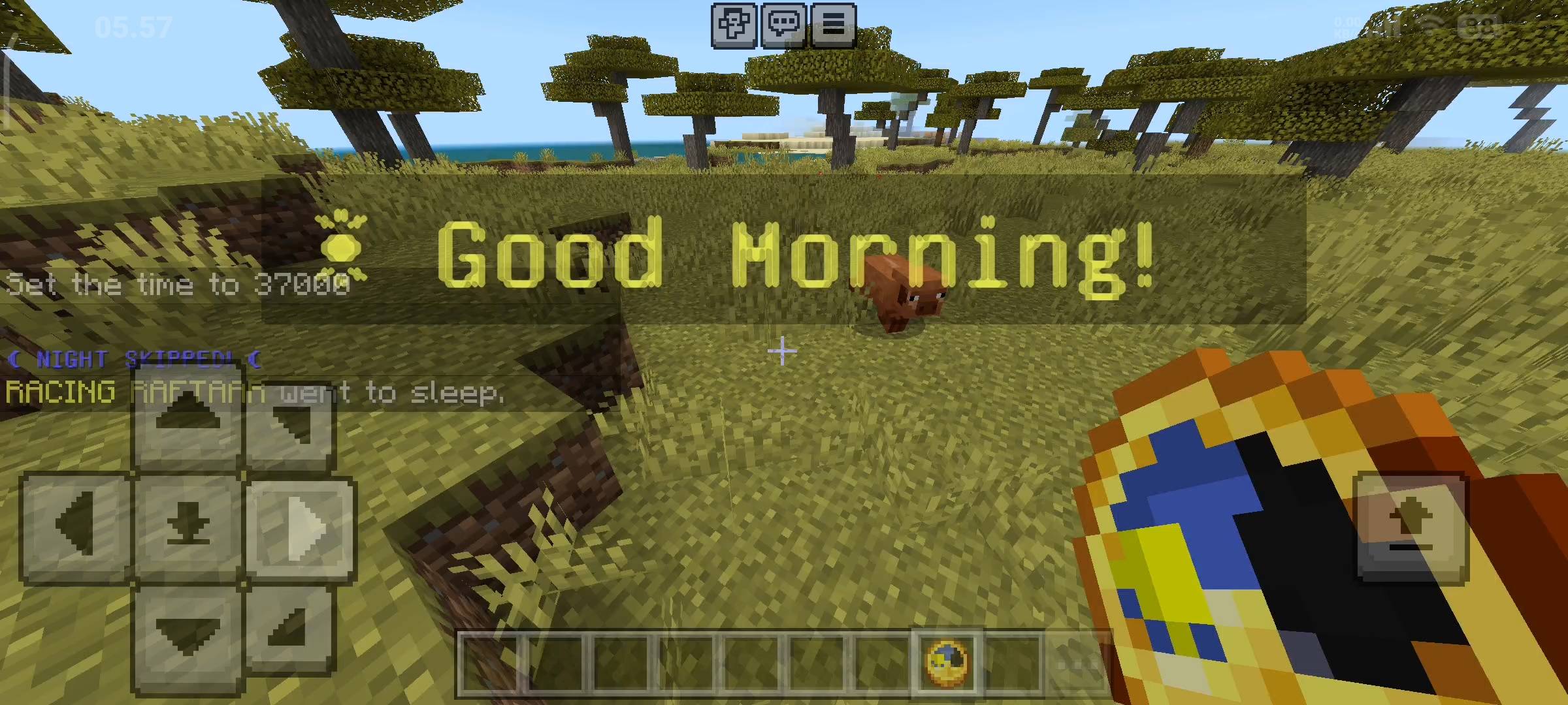 Easy Sleep Addon: One Player Sleep & Night Rewards — screenshot 2