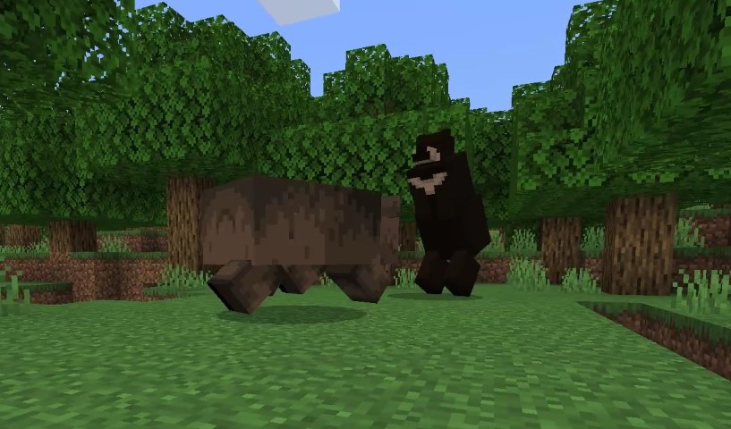 Black and Grizzly Bear Addon — screenshot 4