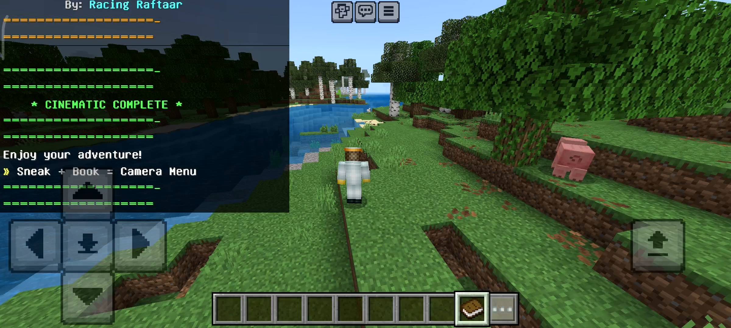 RR Cinematic Camera - Advanced Views — screenshot 3