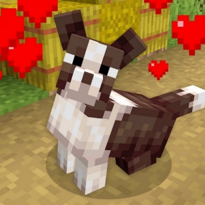 Dogs Expansion