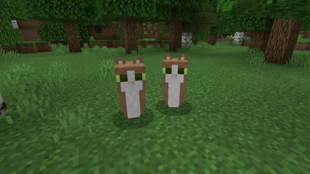 The Meowl Experience — screenshot 2