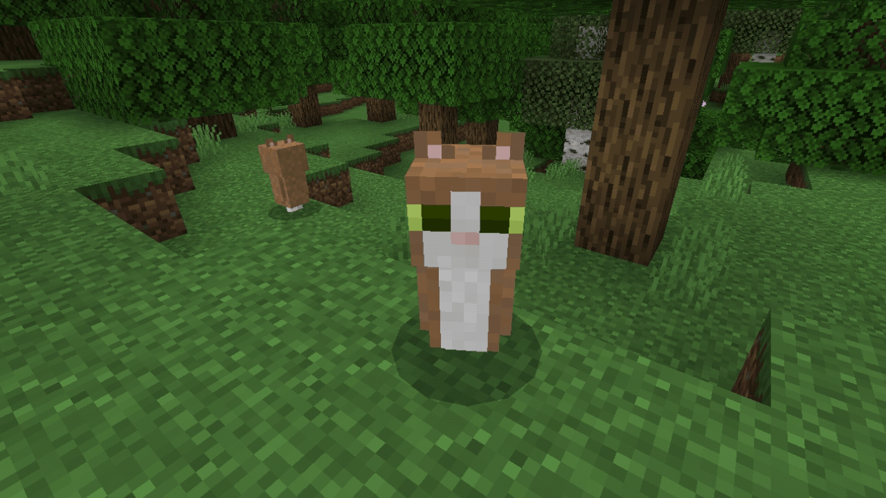The Meowl Experience — screenshot 3