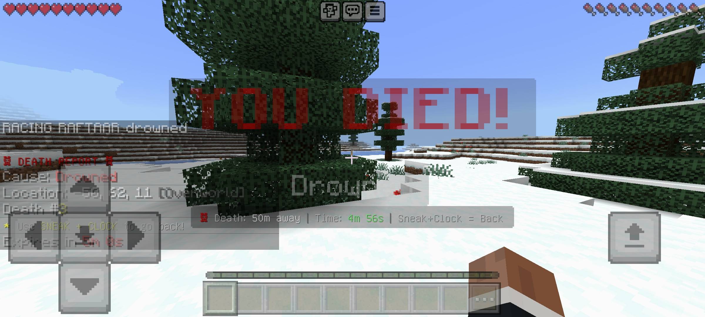 RR Back on Death - Advanced Teleport & Death History Log — screenshot 3