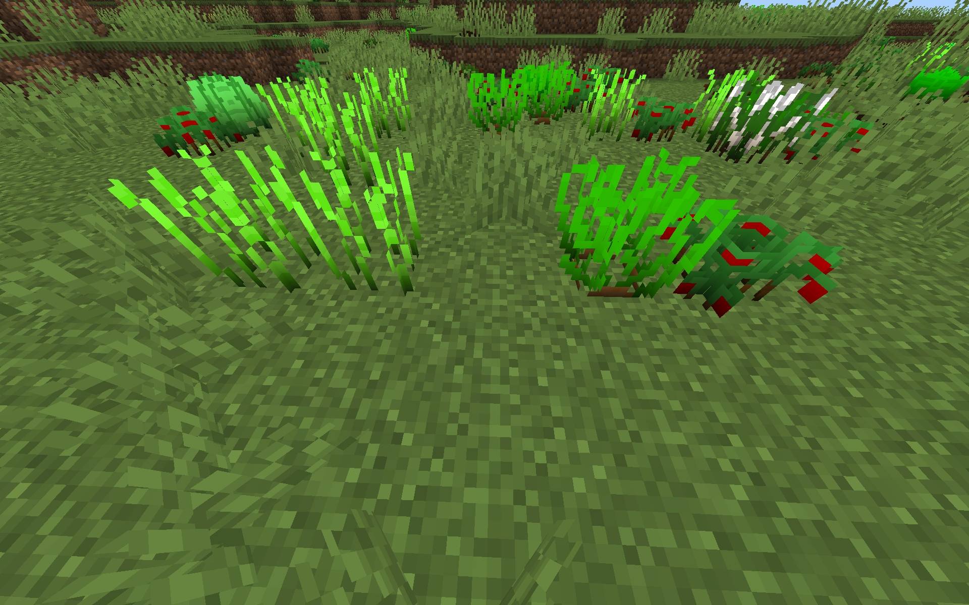 Cuisine Craft Patch FR — screenshot 4