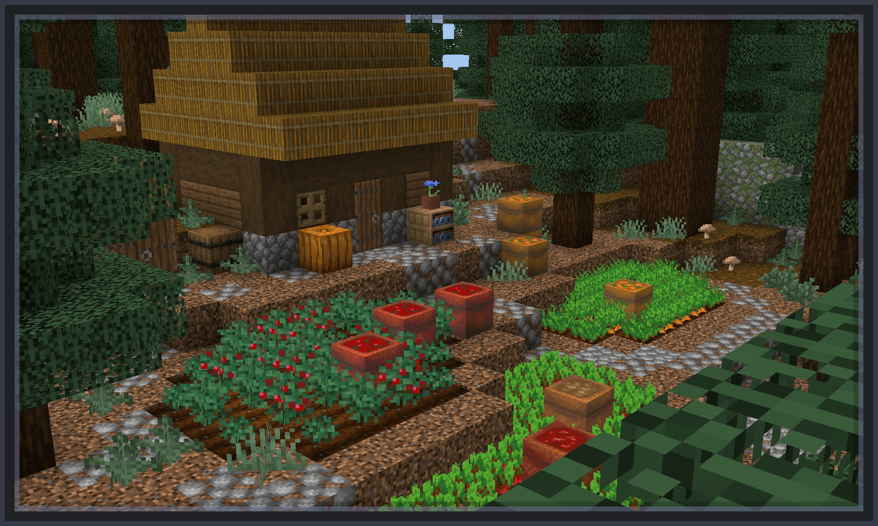 Ameliorate — screenshot 4