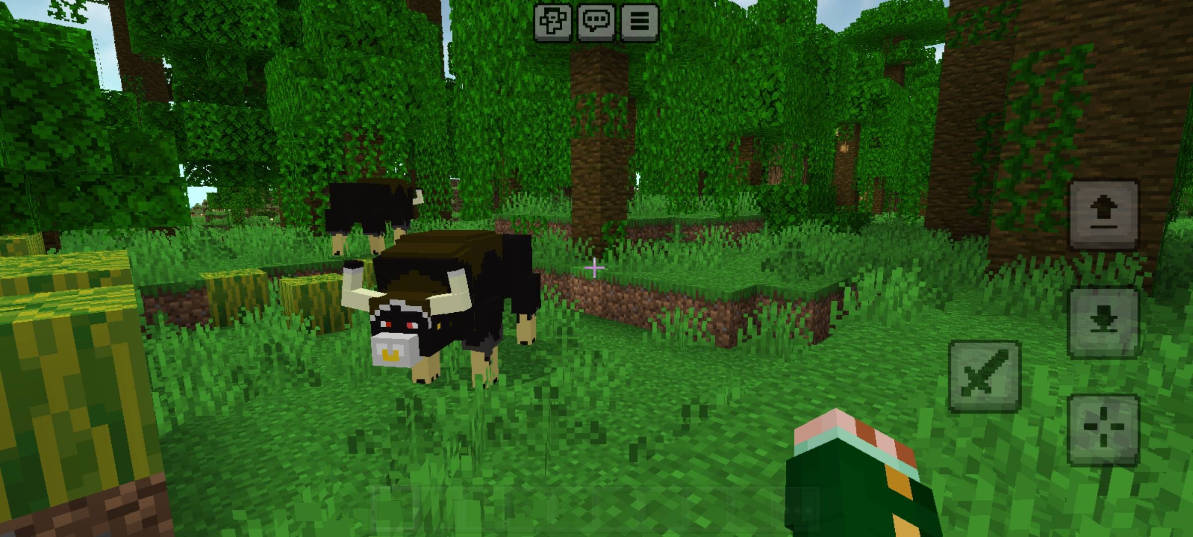 Indian Bison Mount — screenshot 1