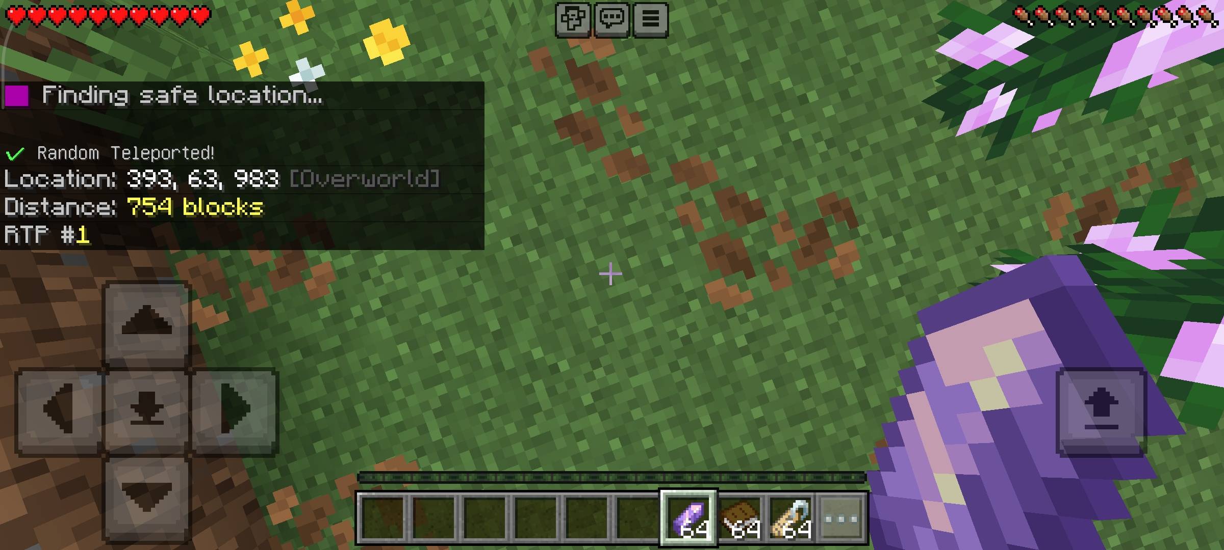 Random TP - Survival Teleporter — screenshot 1