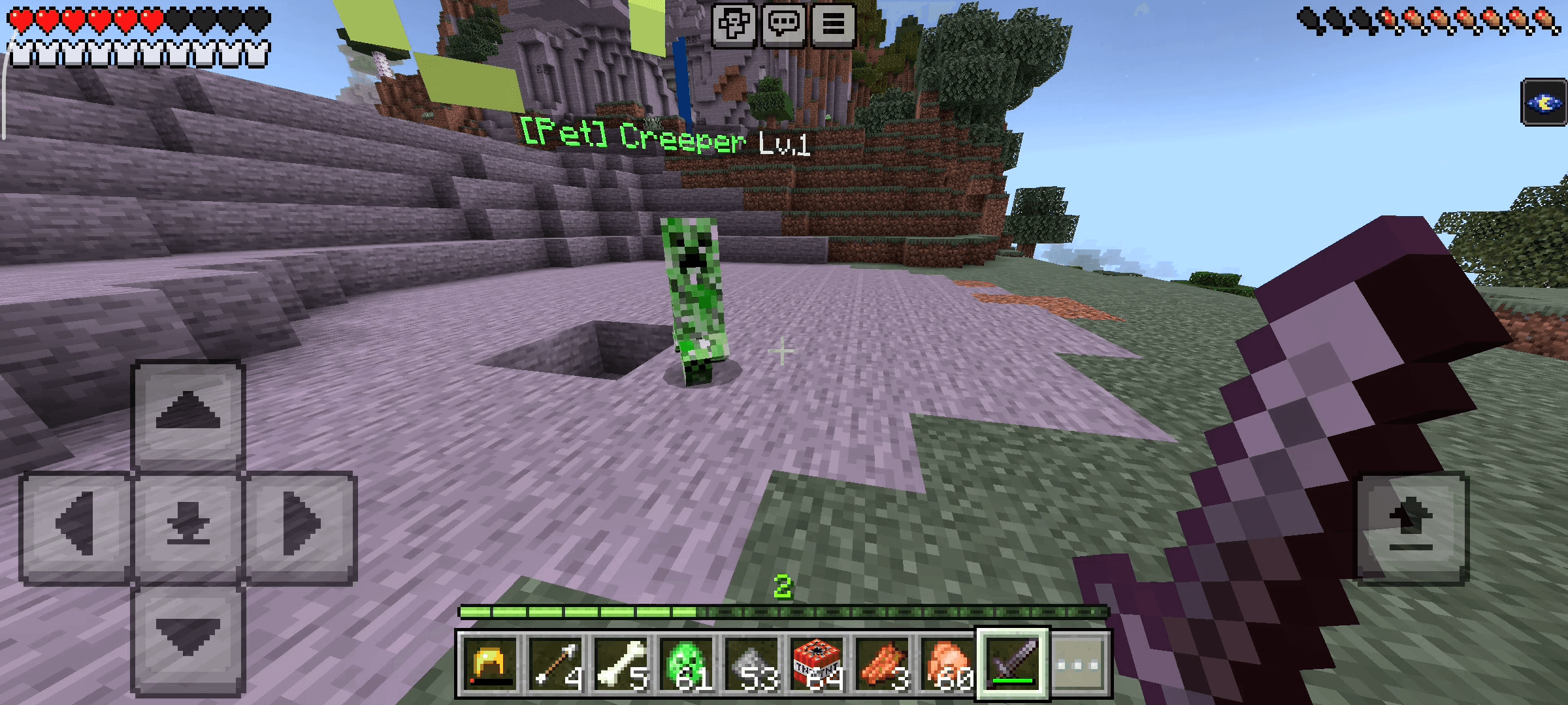 RR Creeper Pet — screenshot 2