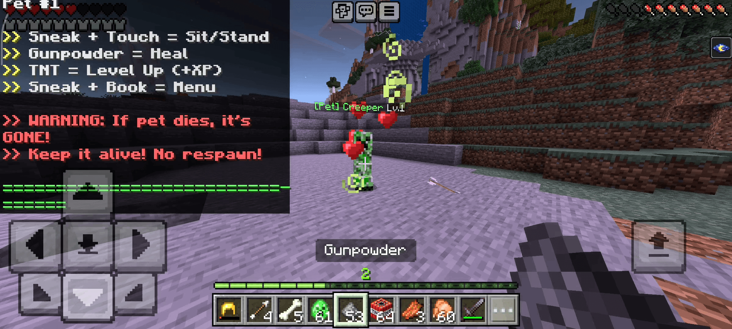 RR Creeper Pet — screenshot 5