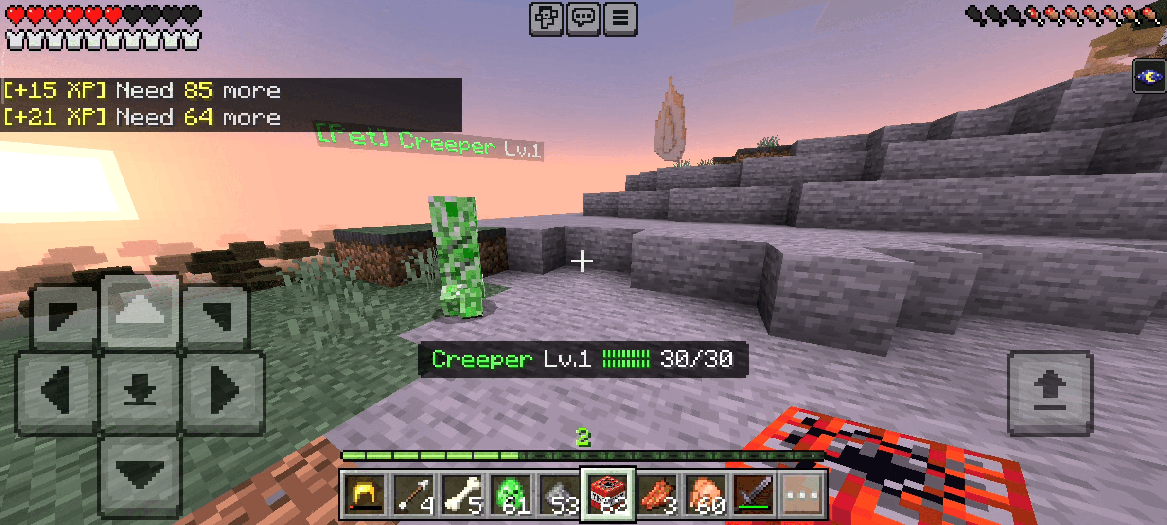 RR Creeper Pet — screenshot 7