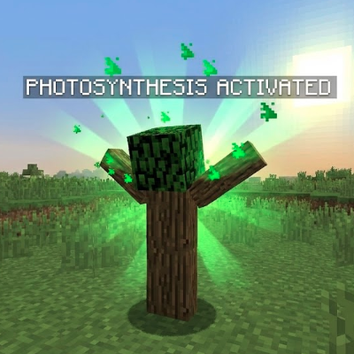 Photosynthesis