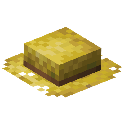 Villager Attire